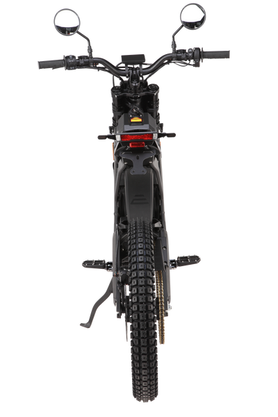 E Ride Pro SE L1e 2025
