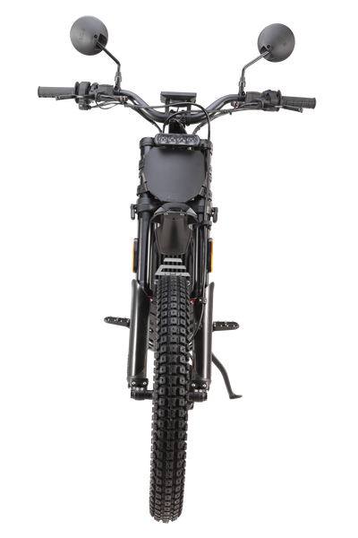 E Ride Pro SE L1e 2025