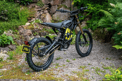 SURRON Light Bee 2025